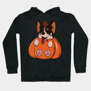 Corgi Pumpkin Hoodie